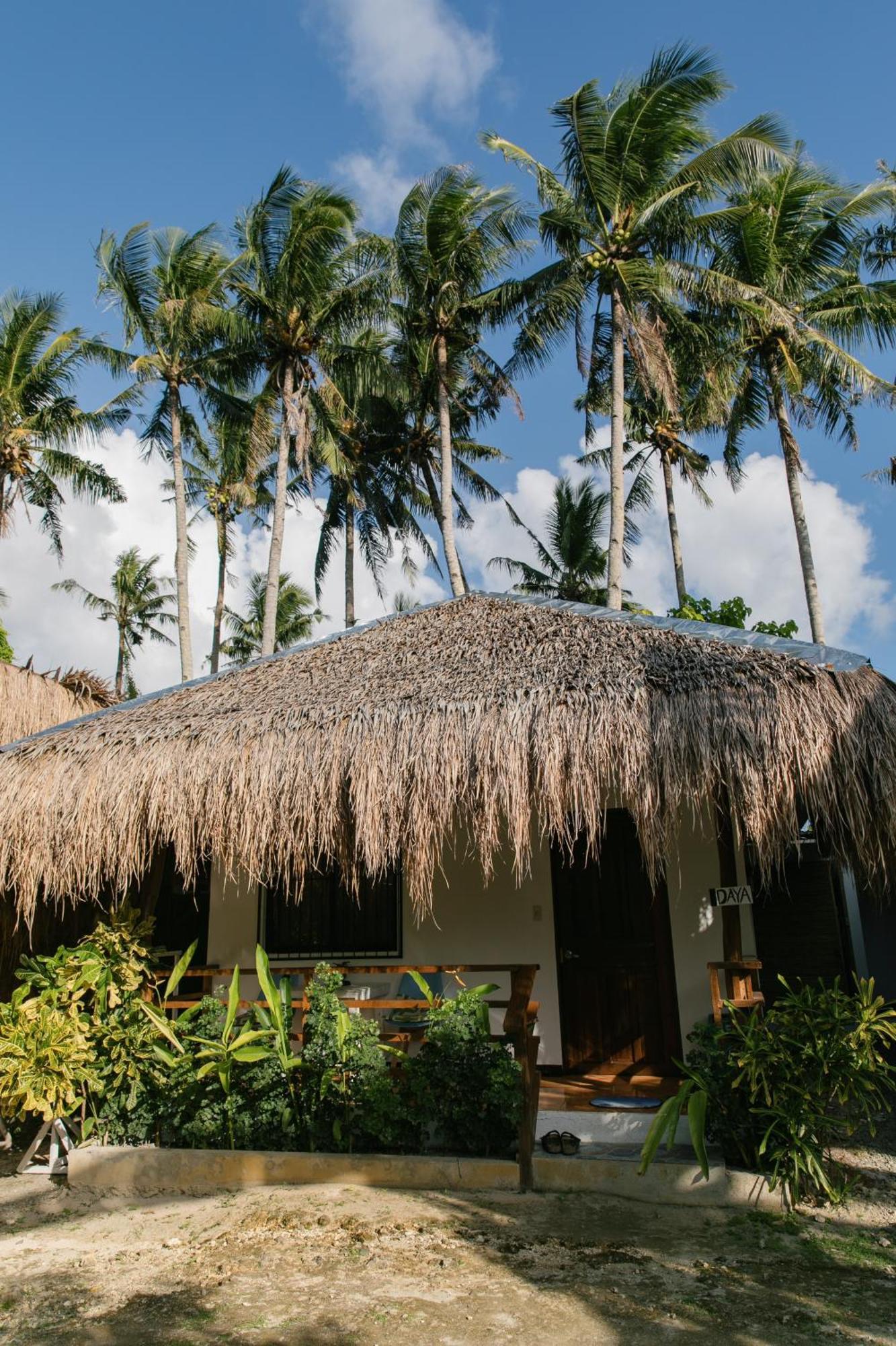 Ozen Freediving Hostel เจเนอรัลลูนา ภายนอก รูปภาพ